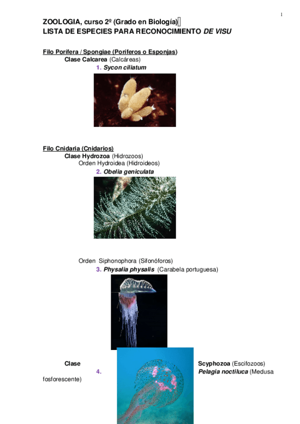 Miniatura del documento VISU_ZOOLOGIA.doc