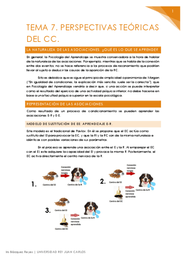 Miniatura del documento TEMA 7. PERSPECTIVAS TEÓRICAS DEL CC.pdf