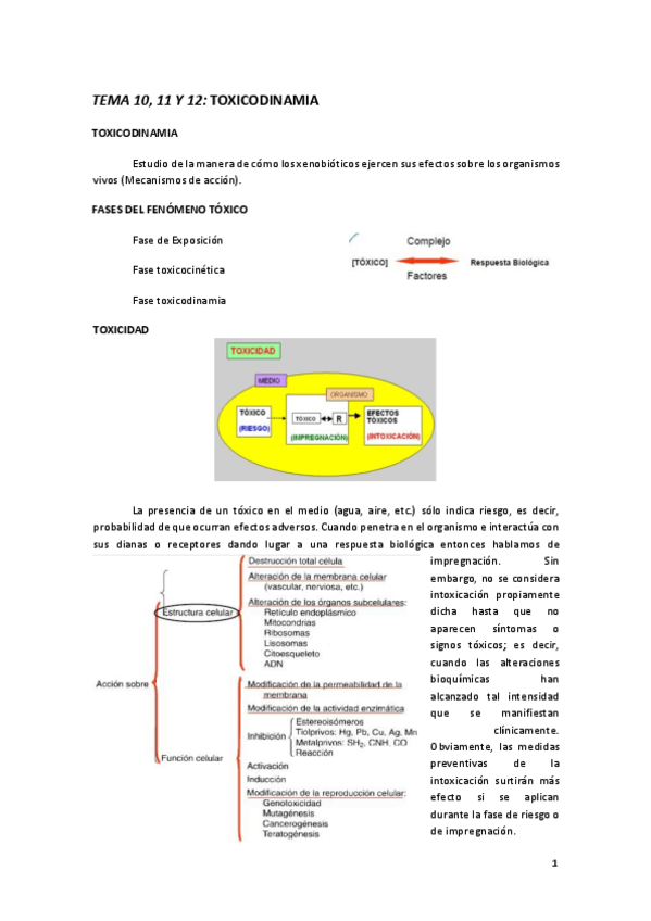 Miniatura del documento TEMA 10- 11 Y 12 TOXICODINAMIA.pdf