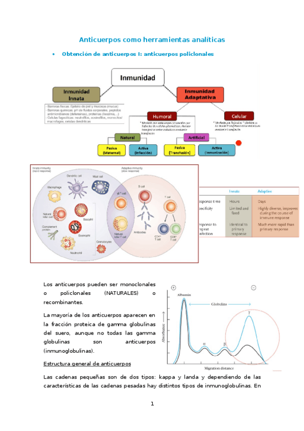 Miniatura del documento TEMA ANTICUERPOS.docx