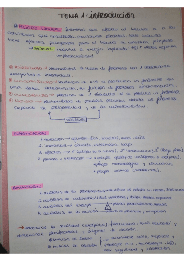Miniatura del documento APUNTES RIESGOS NATURALES.pdf