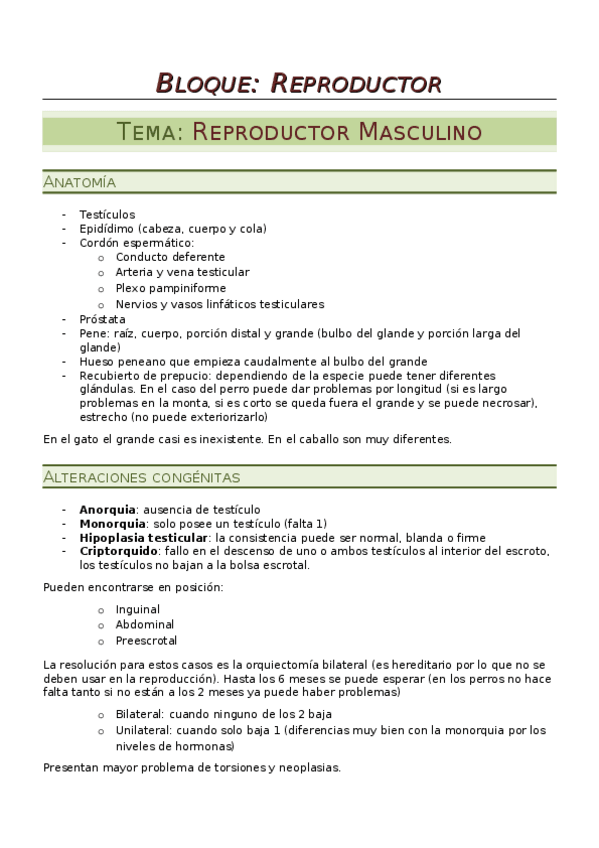 Miniatura del documento apuntes vilar (2).docx