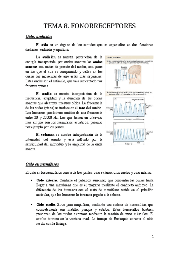 Miniatura del documento Tema 8.pdf