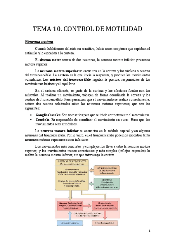 Miniatura del documento Tema 10.pdf