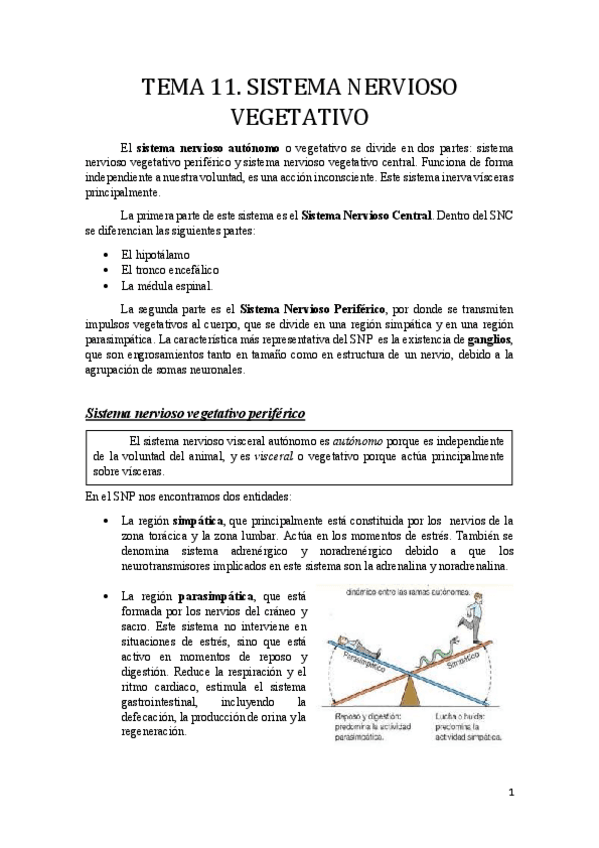 Miniatura del documento tema 11.pdf