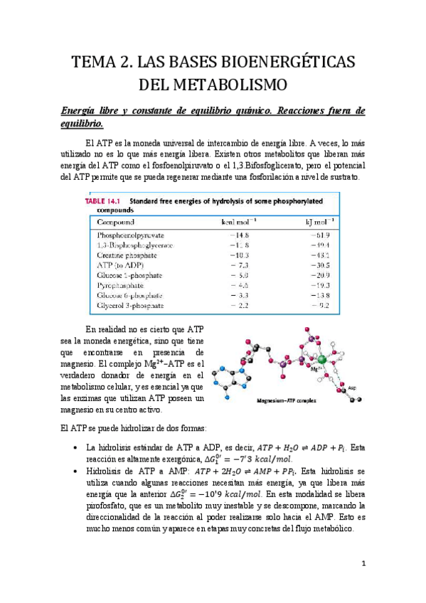 Miniatura del documento Tema 2.pdf