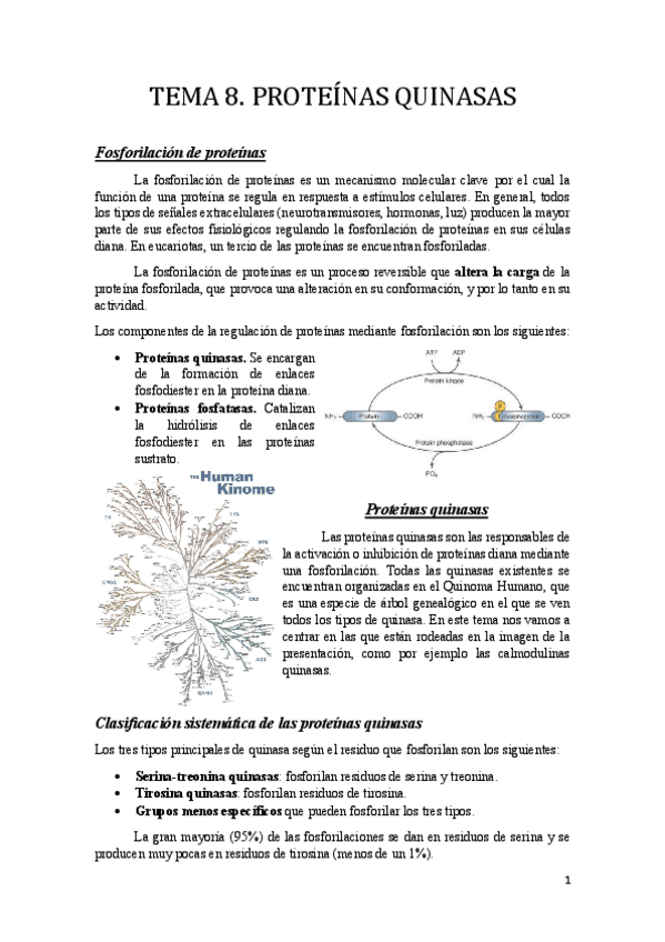 Miniatura del documento Tema 8.pdf