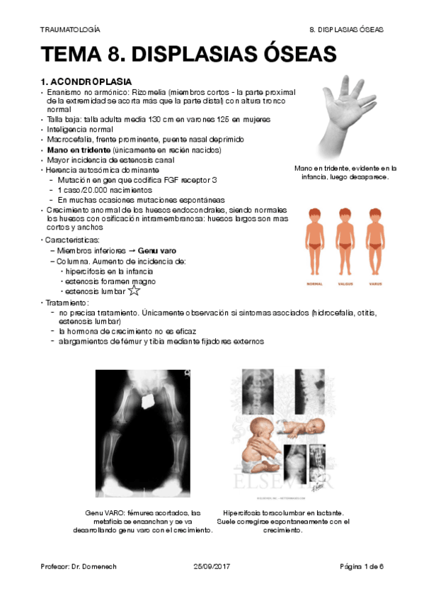 Miniatura del documento TRAUMA T8.pdf