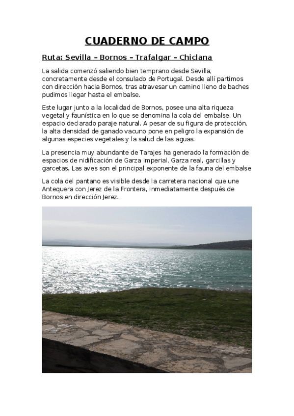 Miniatura del documento Cuaderno de campo ordenación.docx