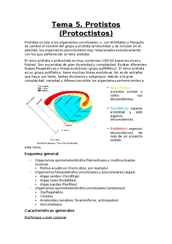 Miniatura del documento tema 5.docx