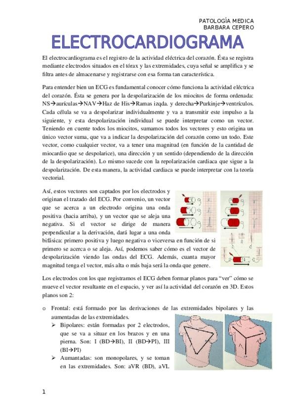 Miniatura del documento ECG.docx
