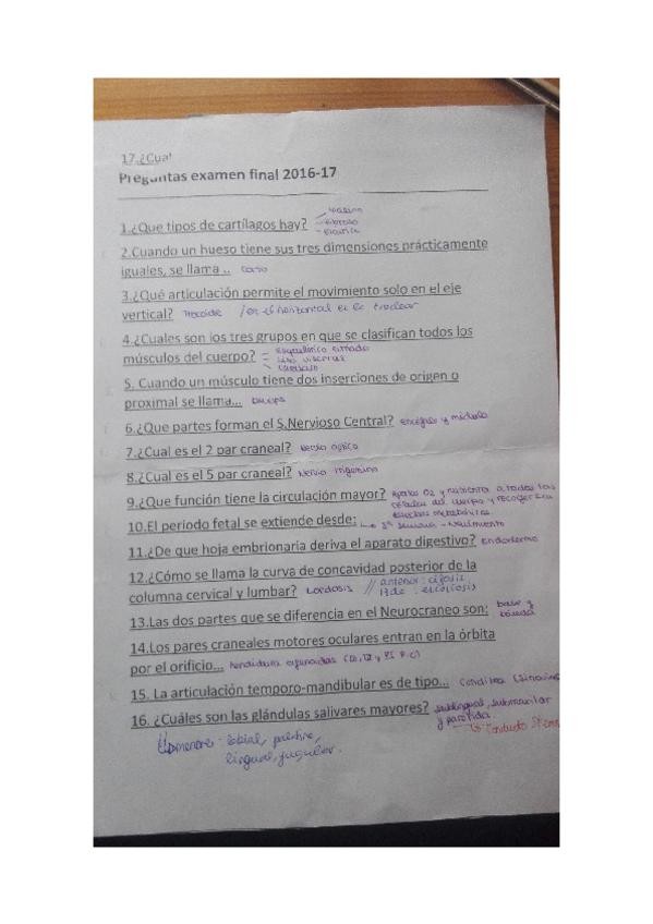 Miniatura del documento preguntas teoria y práctica resueltas examen.docx