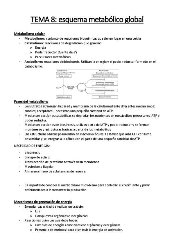 Miniatura del documento TEMA 8.pdf