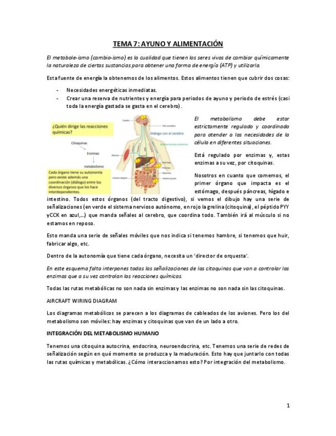 Miniatura del documento TEMA 7.pdf