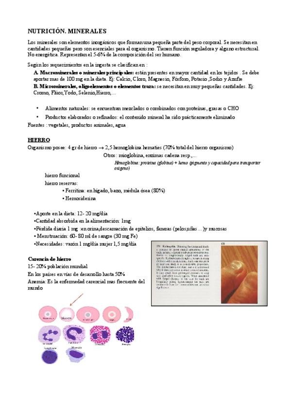 Miniatura del documento Nutrición. Tema 3.pdf