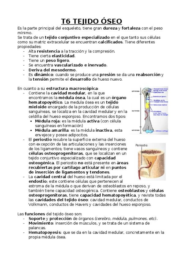 Miniatura del documento Óseo.docx