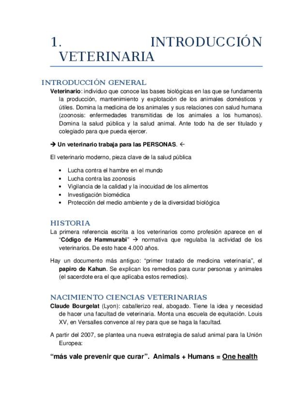 Miniatura del documento 1. INTRODUCCIÓN.docx