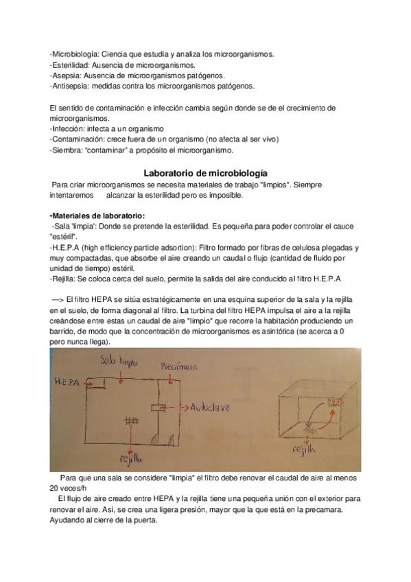 Miniatura del documento Teoría.docx