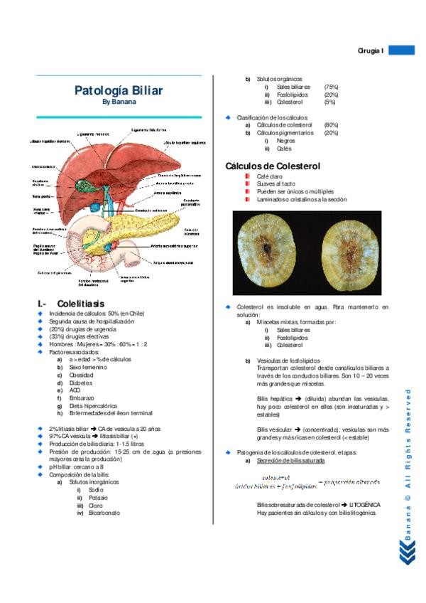 Miniatura del documento Resumen Patología Biliar.pdf