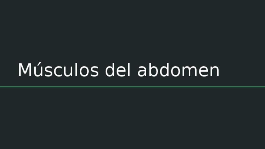 Miniatura del documento MUSCULOS-DEL-ABDOMEN-DEFINITIVO.pptx