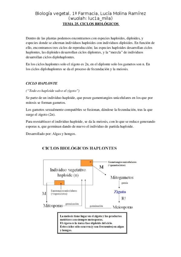 Miniatura del documento tema 25. Ciclos biológicos plantas.docx