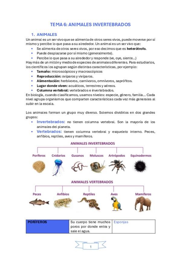 Miniatura del documento tema-6-Los-animales-invertebrados.pdf