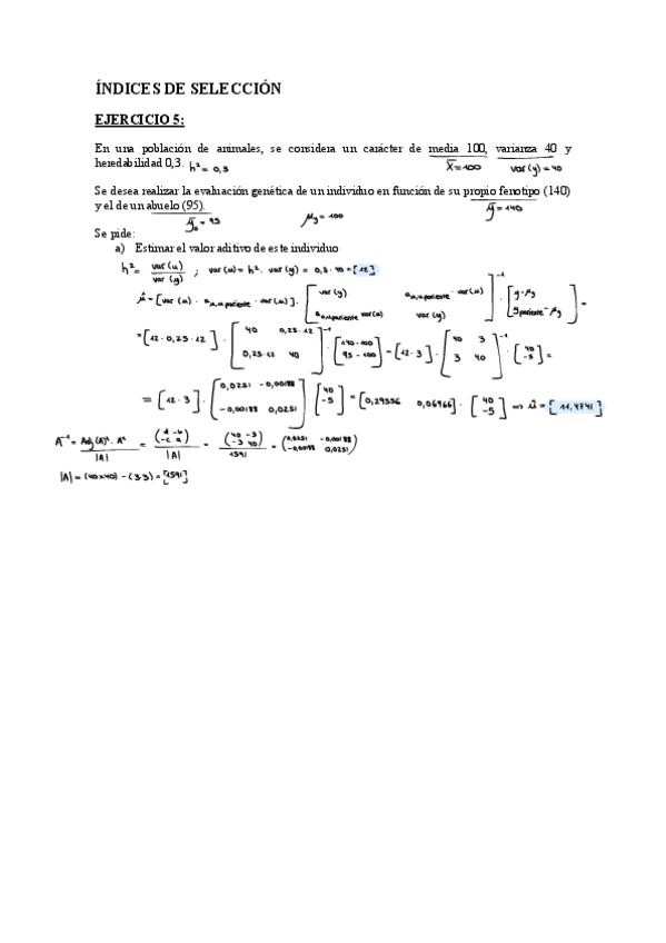Miniatura del documento Ejercicio-de-Indice-de-Seleccion-5.pdf