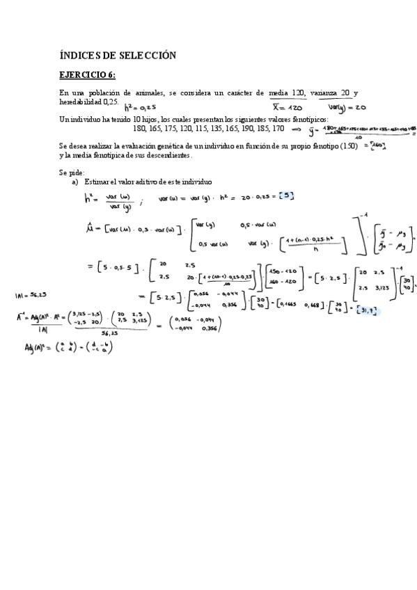 Miniatura del documento Ejercicio-de-Indice-de-Seleccion-6.pdf