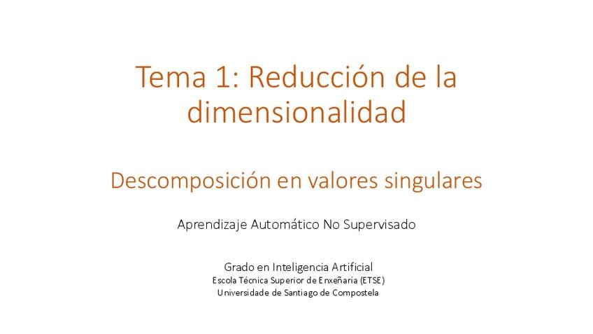 Miniatura del documento T1svd.pdf