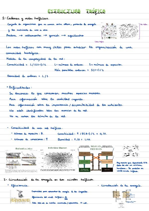 Miniatura del documento Tema-11-Estructura-trofica-de-los-ecosistemas.pdf