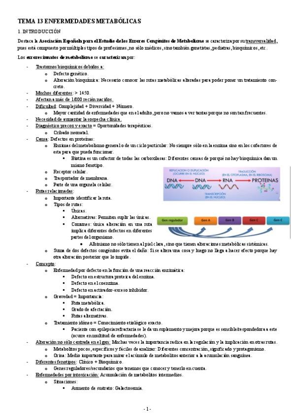 Miniatura del documento GENETICA-TEMA-13-ENFERMEDADES-METABOLICAS.pdf