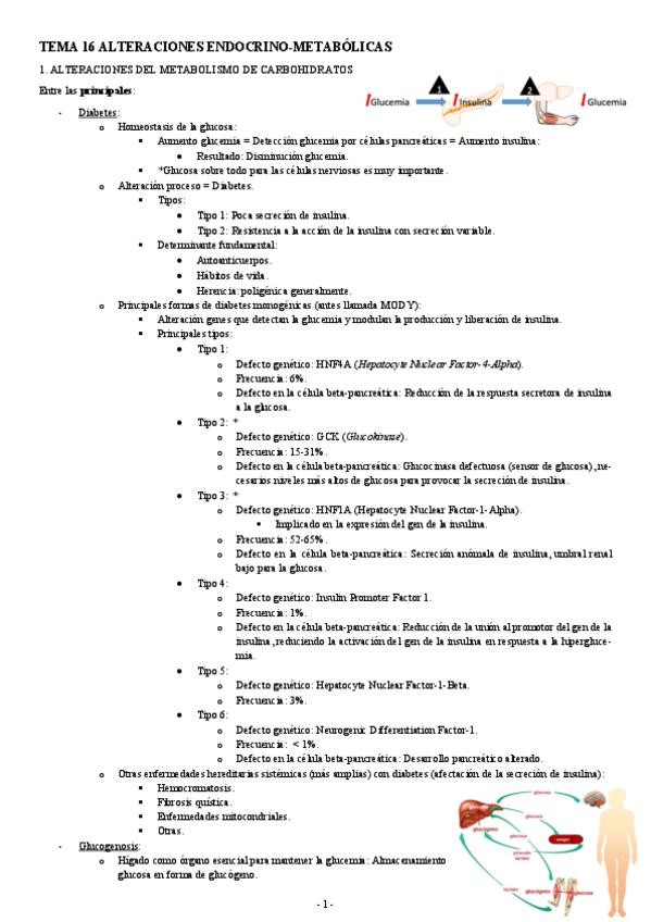 Miniatura del documento GENETICA-TEMA-16-ALTERACIONES-ENDOCRINO-METABOLICAS.pdf