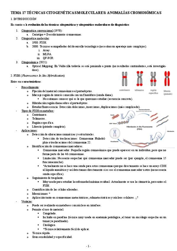 Miniatura del documento GENETICA-TEMA-17-TECNICAS-CITOGENETICAS-MOLECULARES-ANOMALIAS-CROMOSOMICAS.pdf