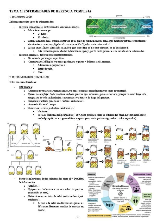 Miniatura del documento GENETICA-TEMA-21-ENFERMEDADES-DE-HERENCIA-COMPLEJA.pdf