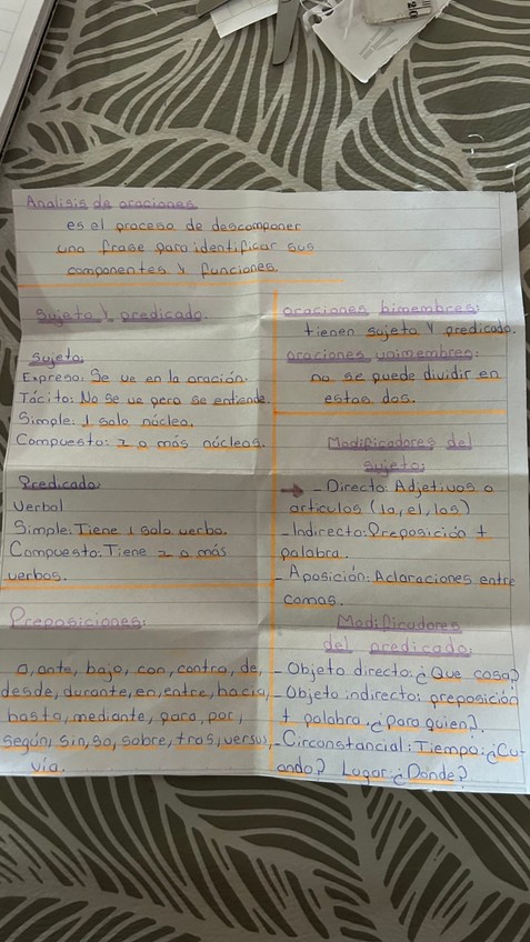 Miniatura del documento IMG8473.jpeg