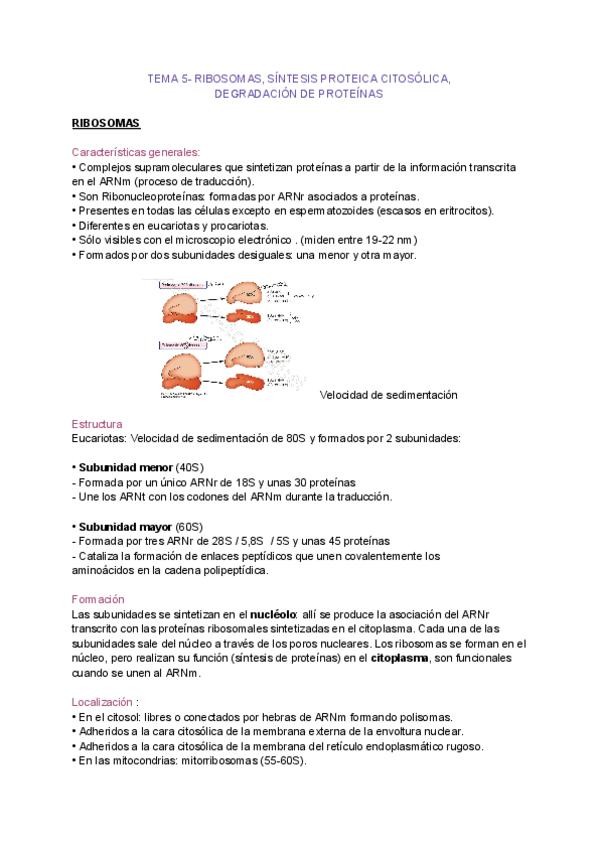 Miniatura del documento Biologia-tema-5.pdf