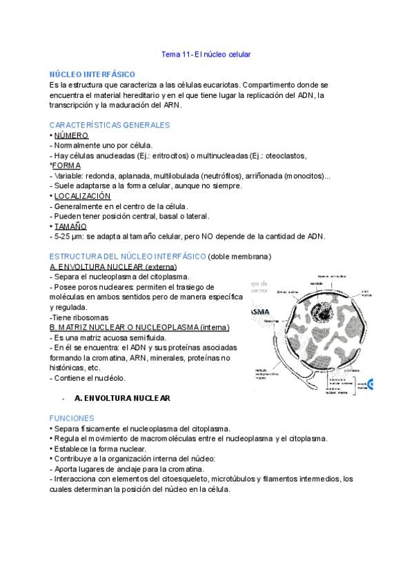 Miniatura del documento Biologia-tema-11.pdf