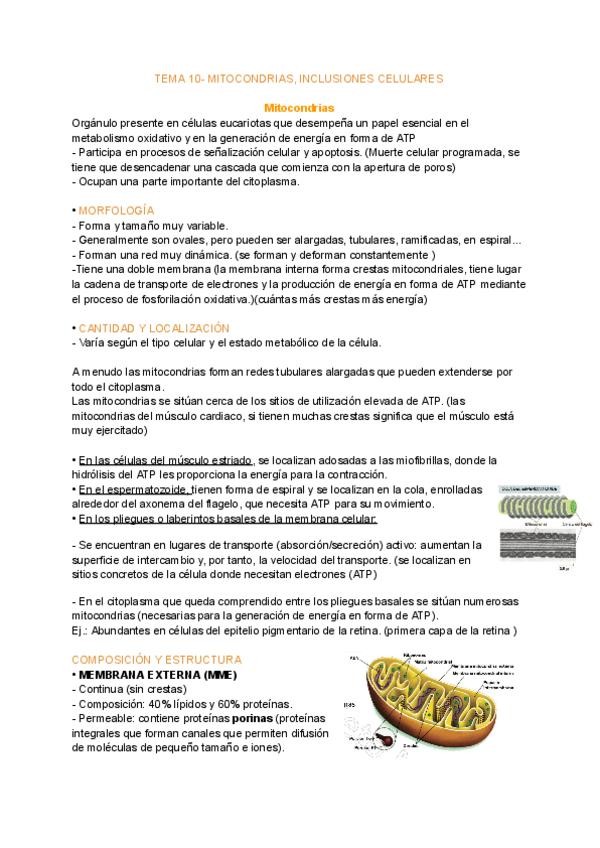 Miniatura del documento Biologia-tema-10.pdf