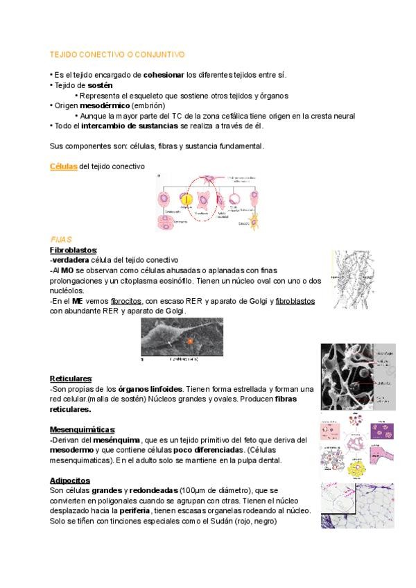 Miniatura del documento Histologia-tema-2.pdf