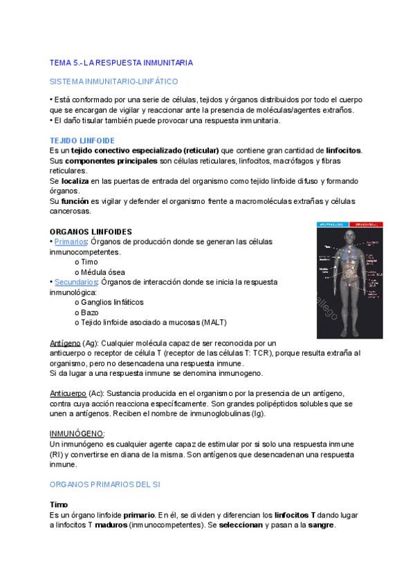 Miniatura del documento Histologia-tema-5.pdf