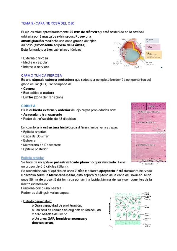 Miniatura del documento Histologia-tema-9.pdf