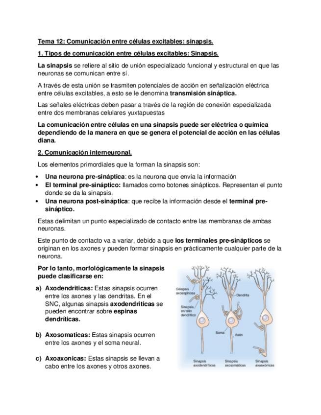 Miniatura del documento Sinapsis.pdf