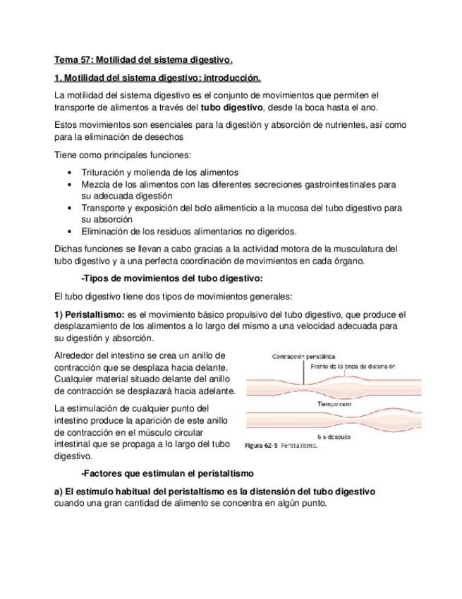 Miniatura del documento Motilidad-del-sistema-digestivo.docx