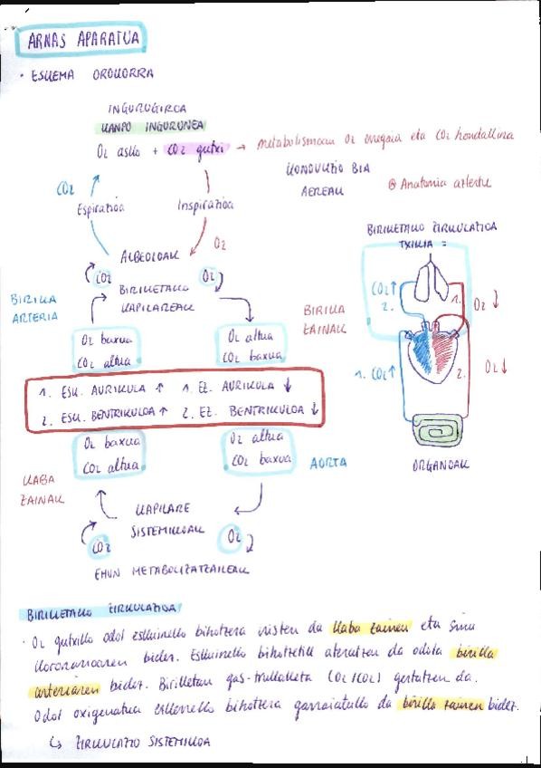 Miniatura del documento ARNAS-APARATUA.pdf