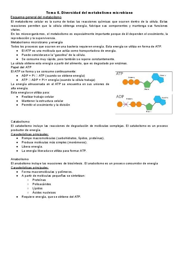 Miniatura del documento Tema-5.-Diversidad-del-metabolismo-microbiano.pdf