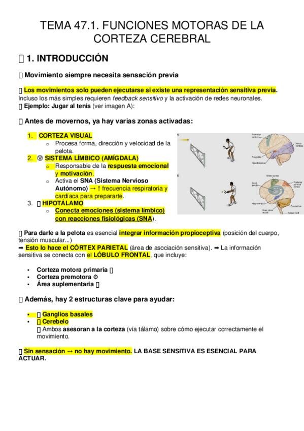 Miniatura del documento TEMA-47.1.-FUNCIONES-MOTORAS-DE-LA-CORTEZA-CEREBRAL.docx