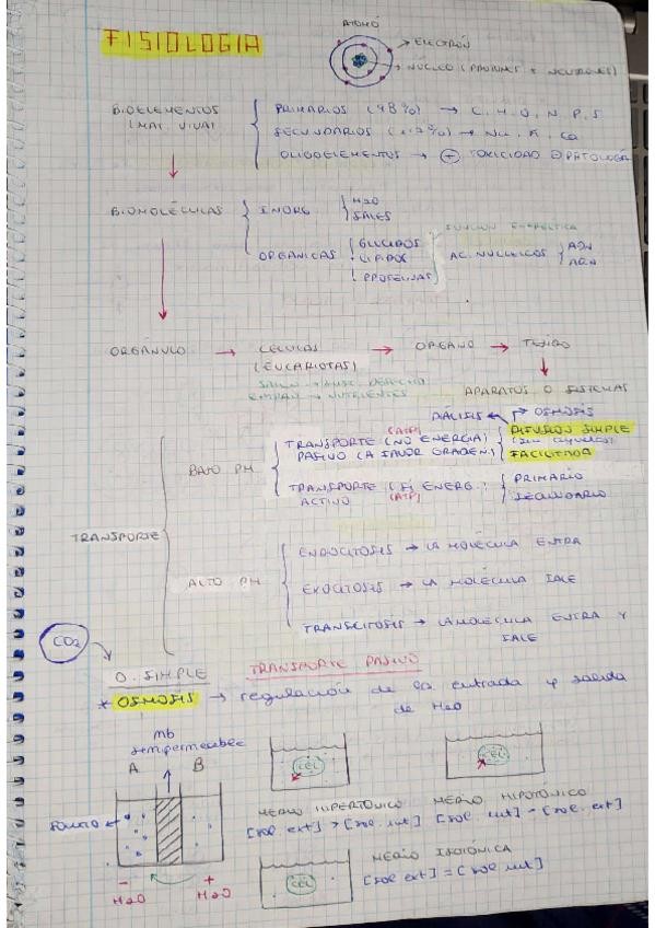 Miniatura del documento be876bdb-dca5-437f-be1b-63e61cad68ea1.pdf