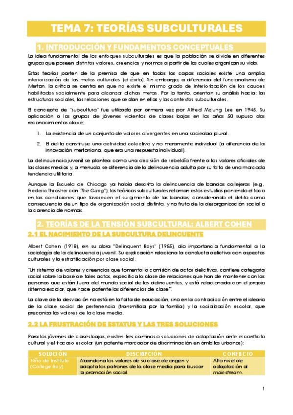 Miniatura del documento TEMA-7.-TEORIAS-SUBCULTURALES.pdf