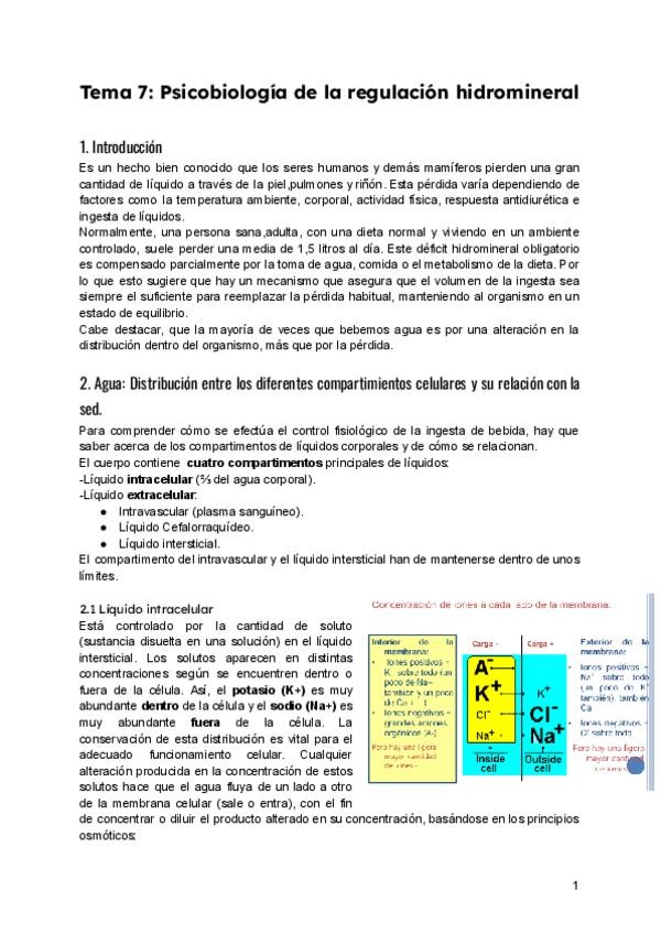Miniatura del documento Tema-7-Psicobiologia-de-la-regulacion-hidromineral.pdf