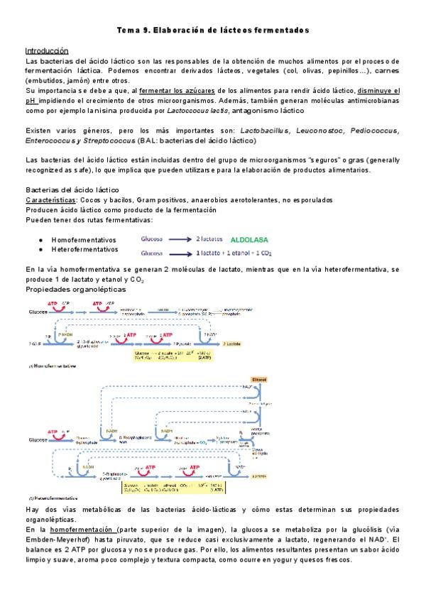 Miniatura del documento Tema-9.-Elaboracion-de-lacteos-fermentados.pdf